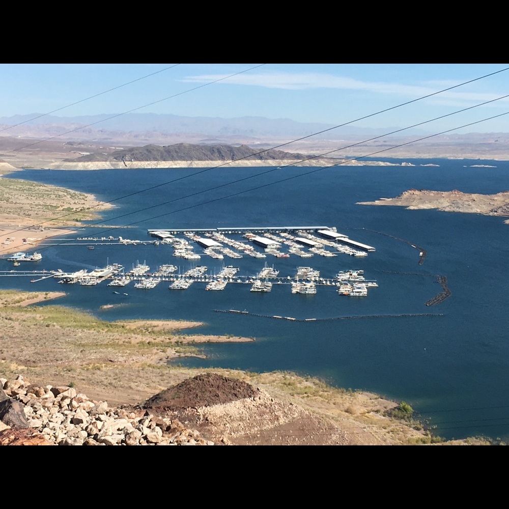 Meet your Posher, Mesha